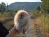 PoulaTo: Pomeranian κουτάβια